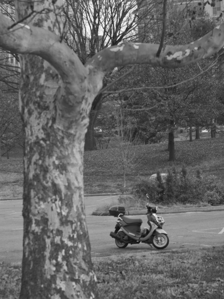 Scooter in the Park