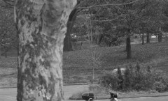 Scooter in the Park